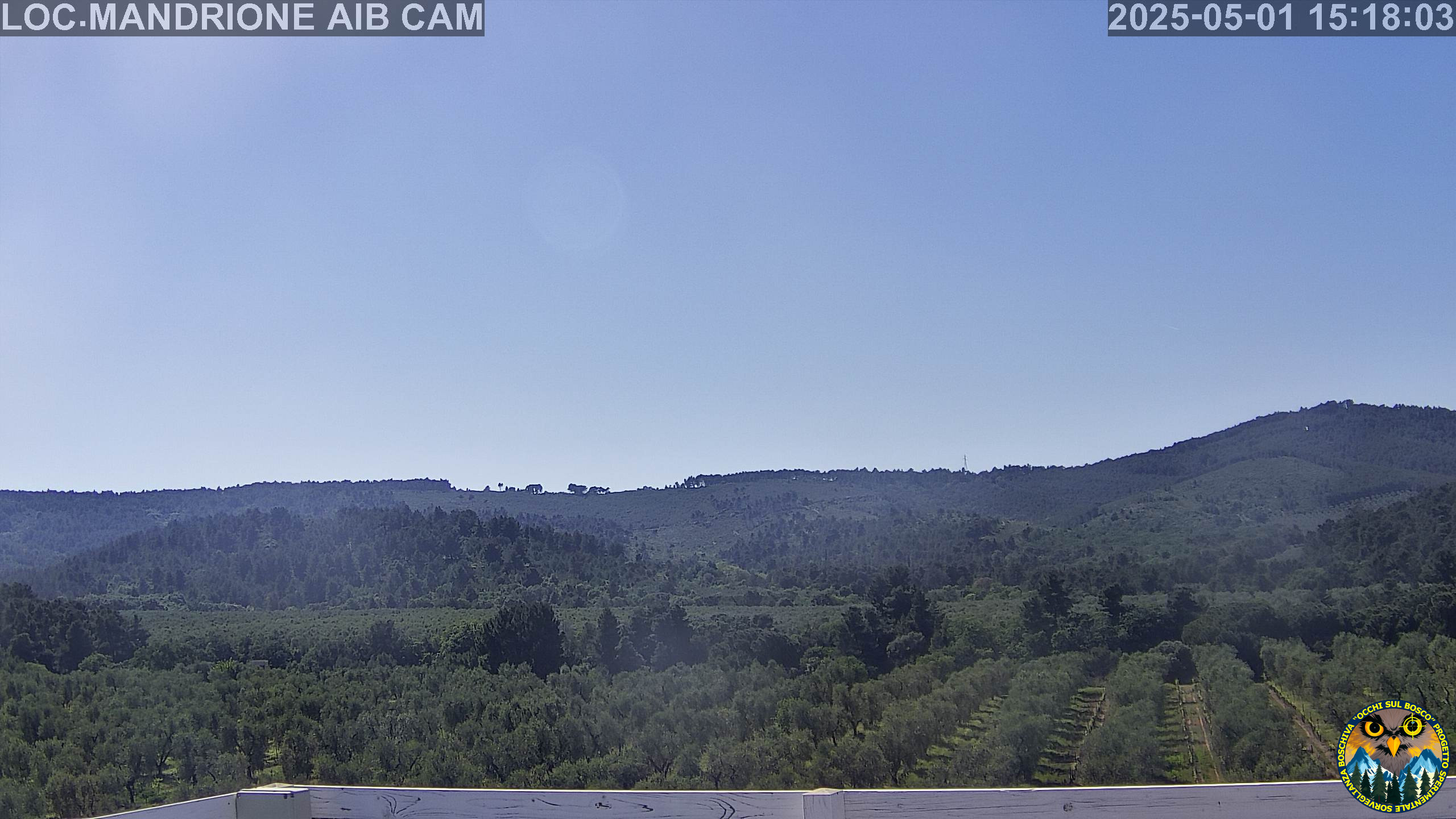 Webcam Image