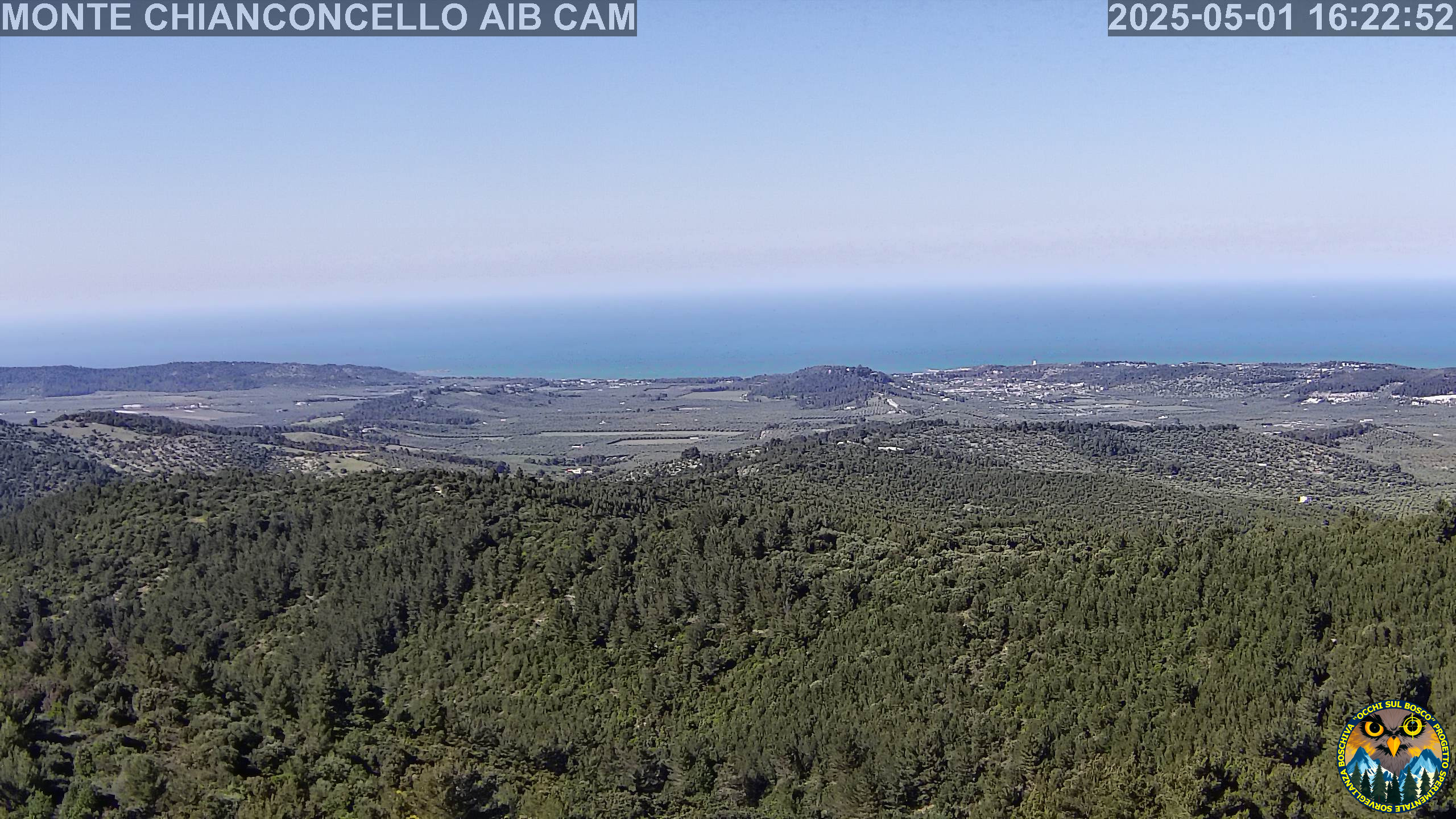 Webcam Image