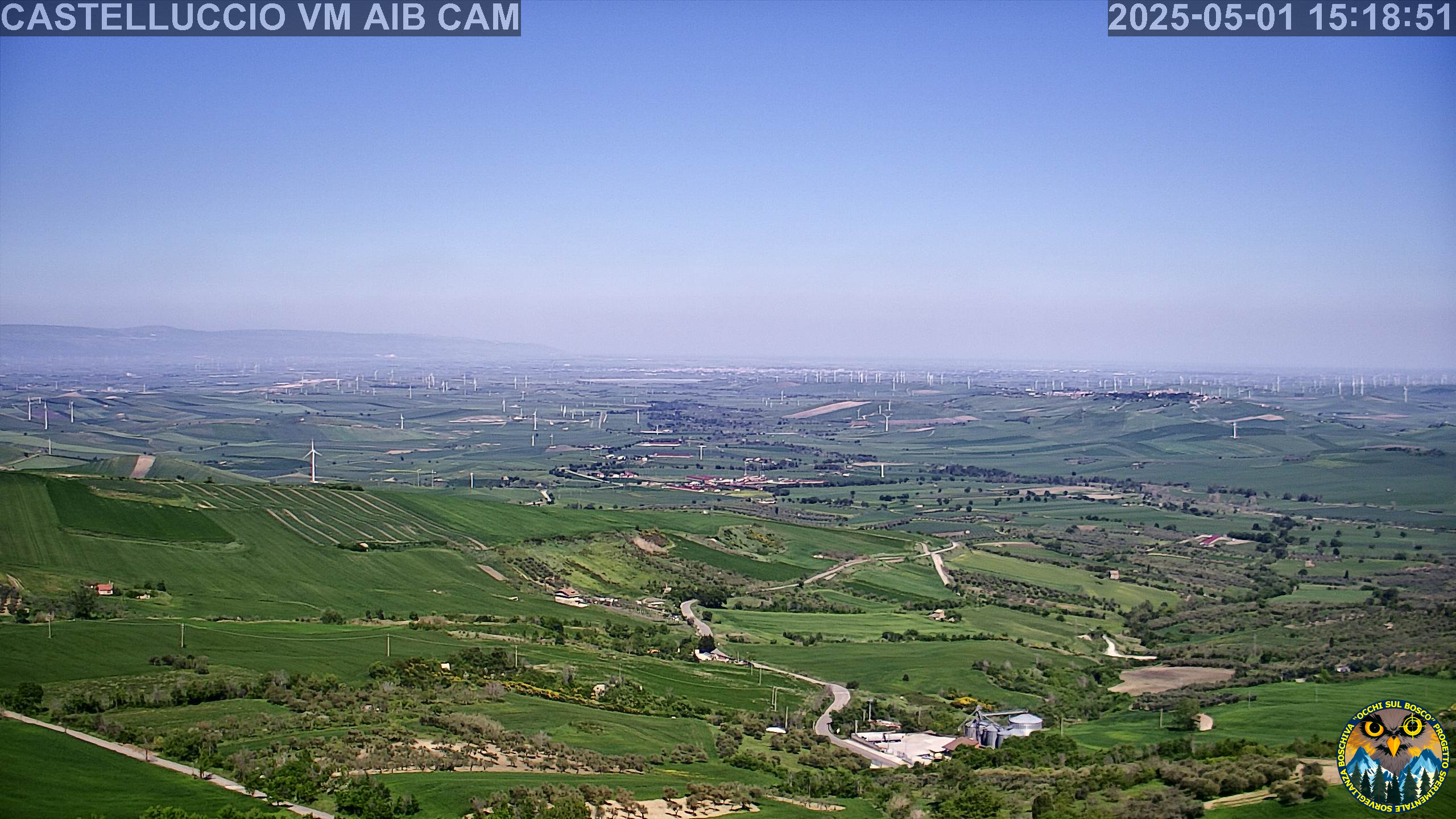 Webcam Image