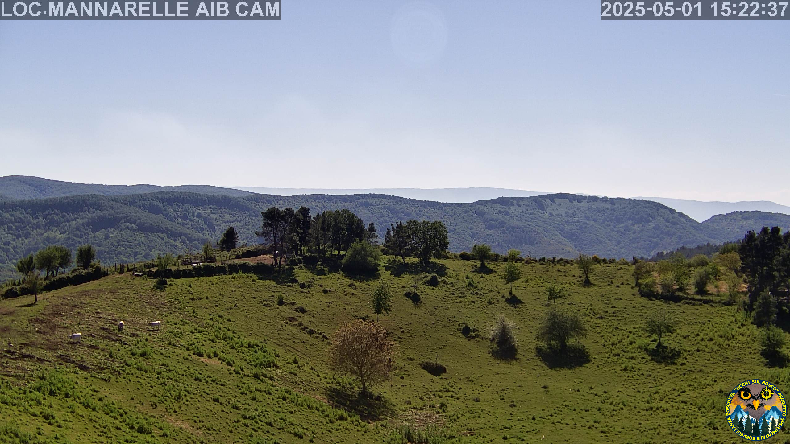 Webcam Image
