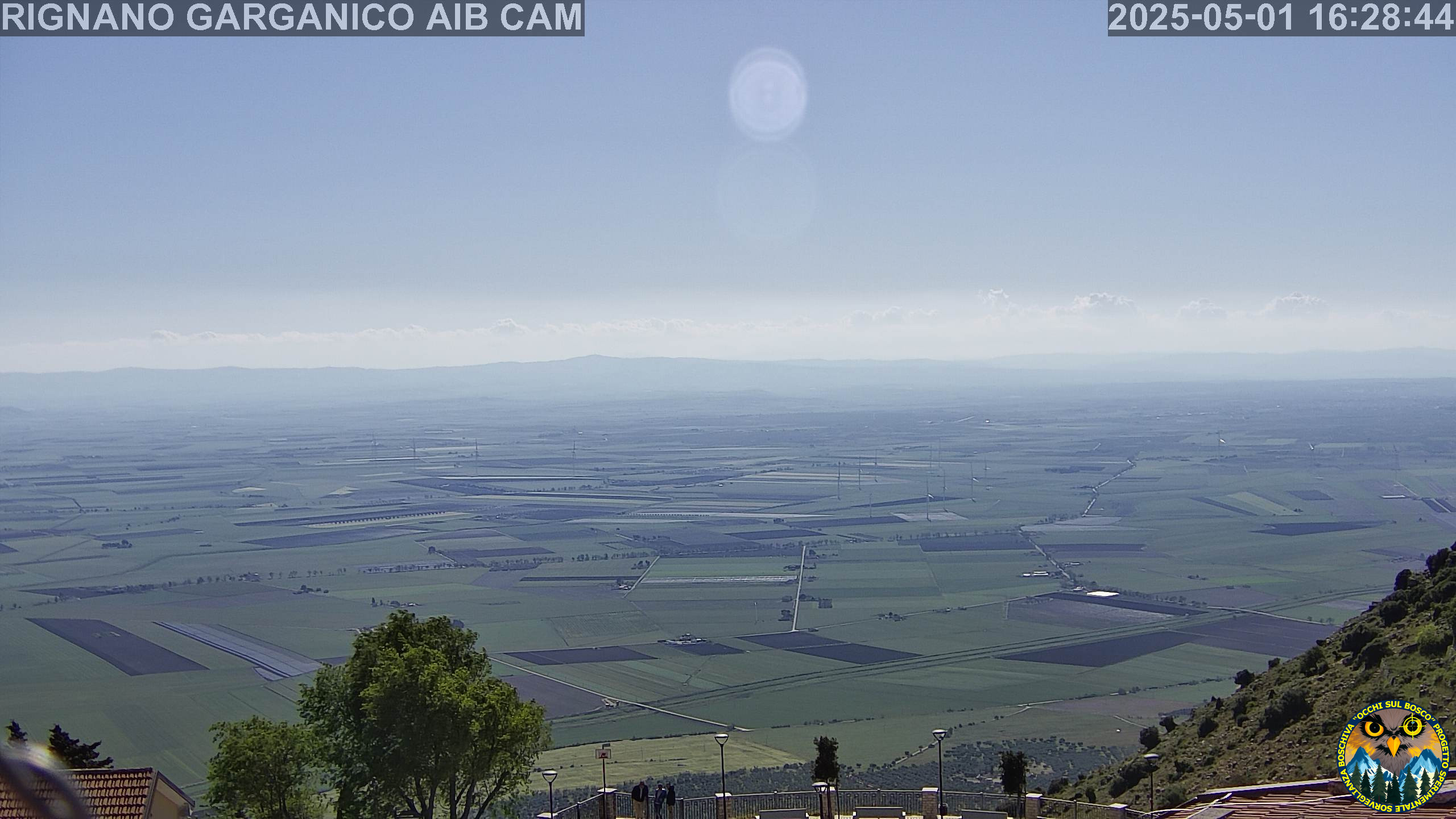 Webcam Image